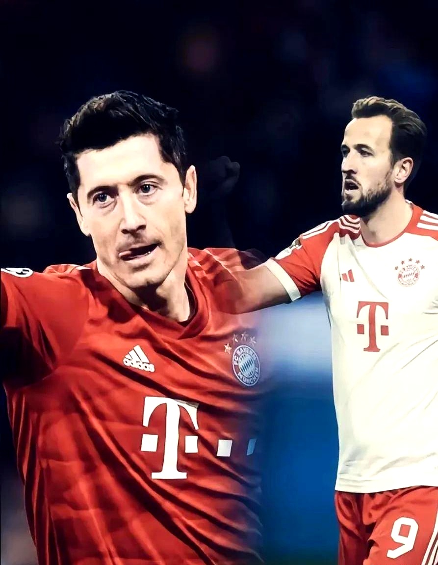 开云官方网站在线登陆-险胜首场状态出色,西班牙队观众沸腾!,哈兰德重返赛场引发球迷热议-开云官方网站在线登陆